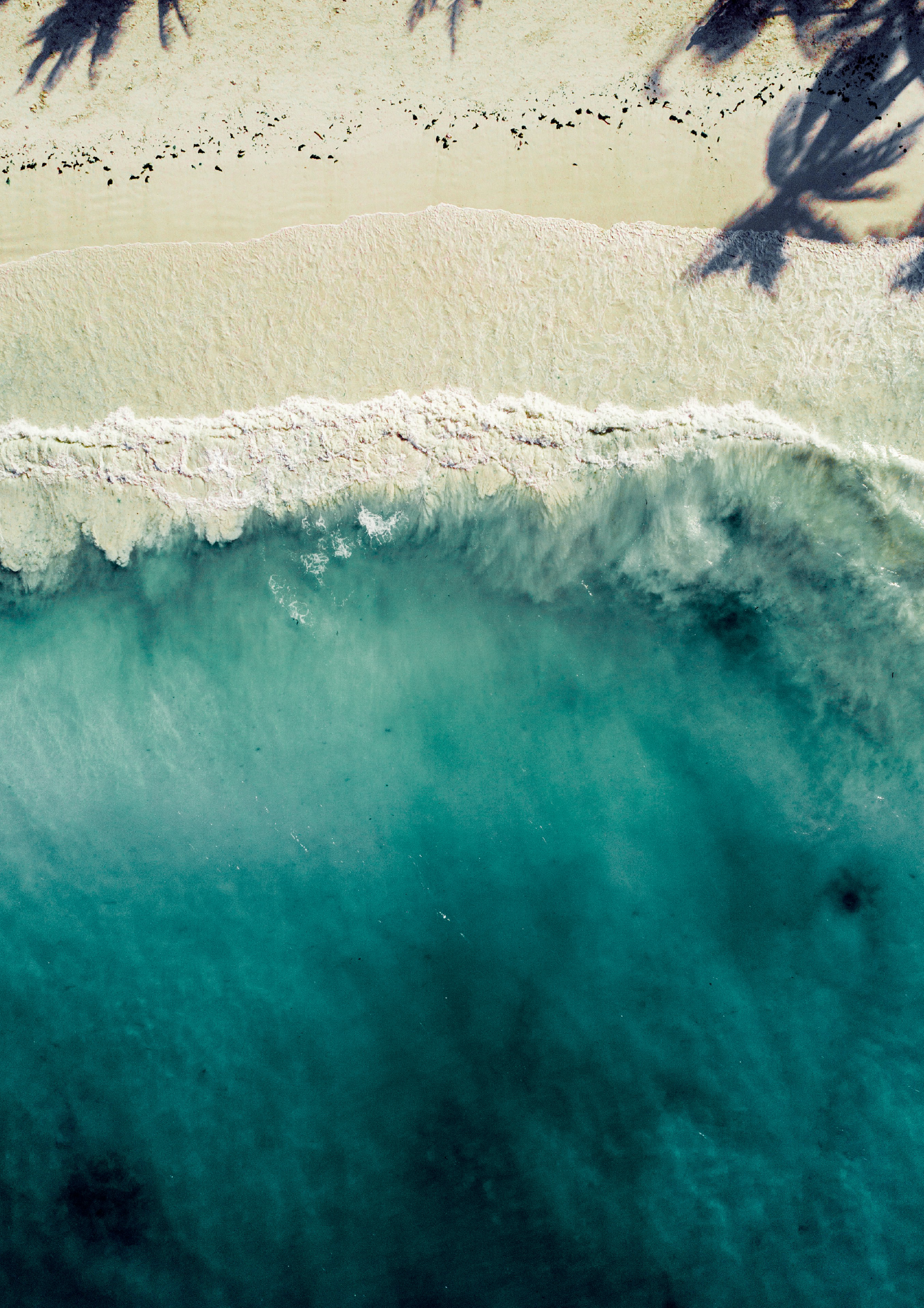 桑给巴尔岛
